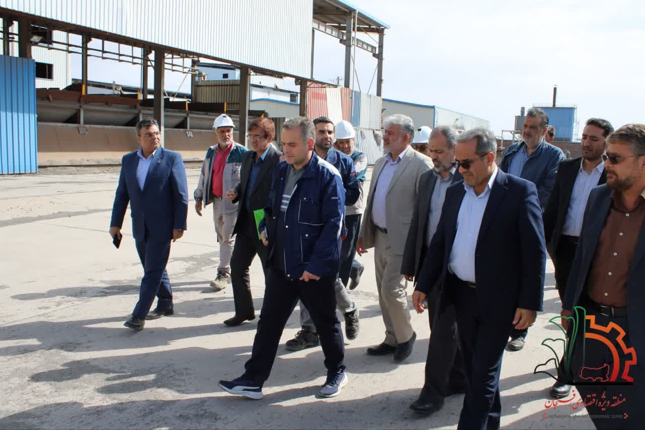 حمایت قاطع دستگاه قضایی از تولید در منطقه ویژه اقتصادی رفسنجان؛ بازدید قائممقام قوه قضائیه از واحدهای صنعتی
